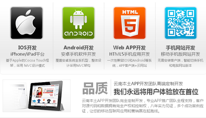 APP定制開(kāi)發(fā) 從專(zhuān)業(yè)眼光解析淘寶網(wǎng)上的安卓與iOS軟件服務(wù)