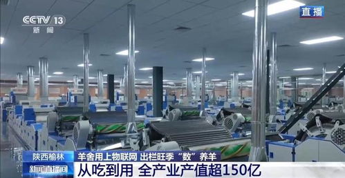 物聯網與人工智能賦能智慧羊舍 技術革新驅動養羊業出欄旺季高效增長